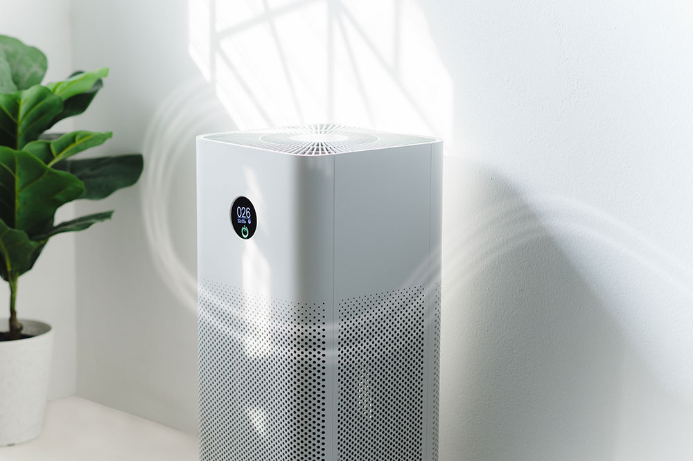 3 Top Eco-Friendly Air Purifiers