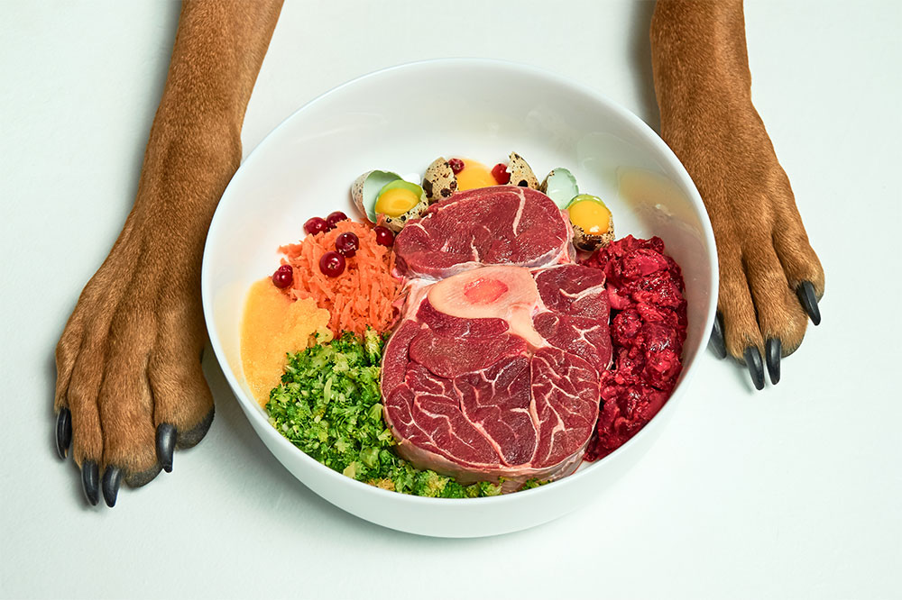 Top 4 Foods for Dogs With Allergies